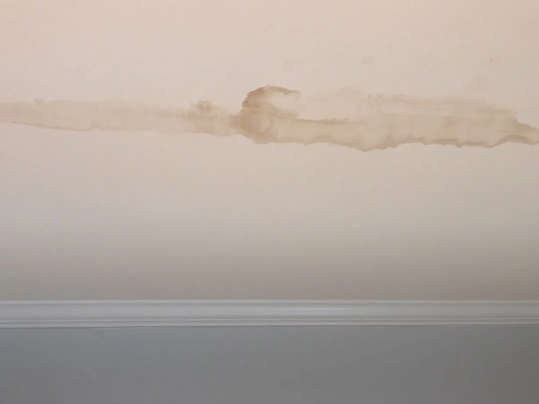What to Do If You Notice Water Damage: How to Deal with Gutter-Related Water Damage